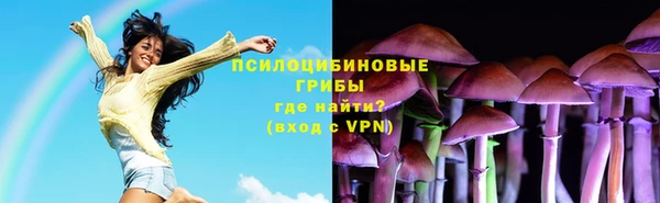ПСИЛОЦИБИНОВЫЕ ГРИБЫ Алексин