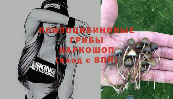 синтетический гашиш Яранск
