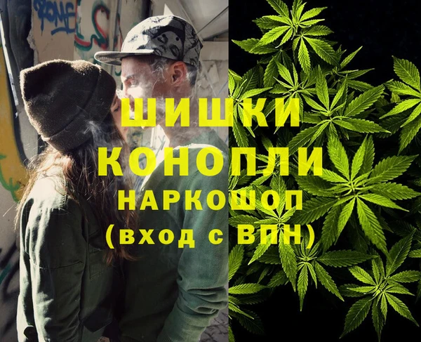 ПСИЛОЦИБИНОВЫЕ ГРИБЫ Алексин
